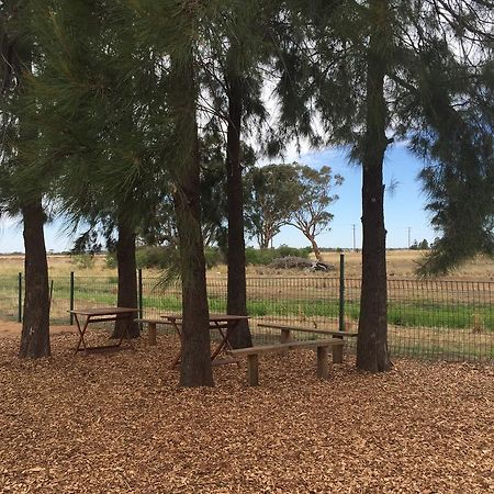 Aussie Cabins Hotel Dubbo Zewnętrze zdjęcie