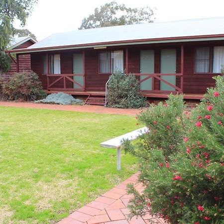 Aussie Cabins Hotel Dubbo Pokój zdjęcie
