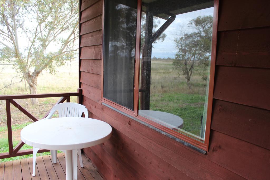 Aussie Cabins Hotel Dubbo Pokój zdjęcie